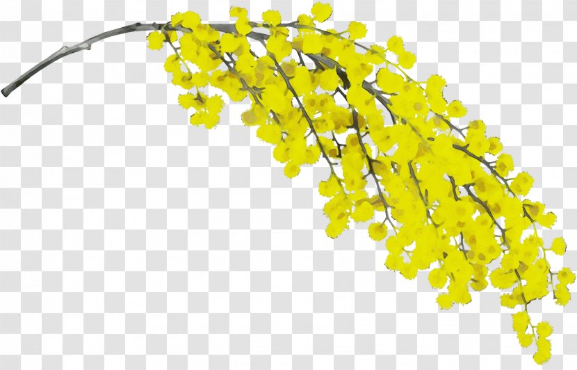 Yellow Plant - Paint Transparent PNG