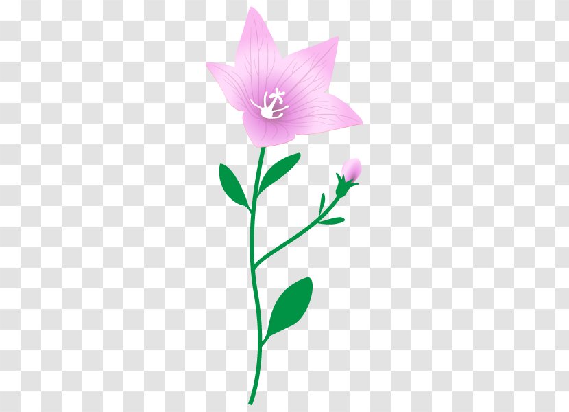 Rose Family Clip Art Herbaceous Plant Stem - Seed - Leaf Transparent PNG