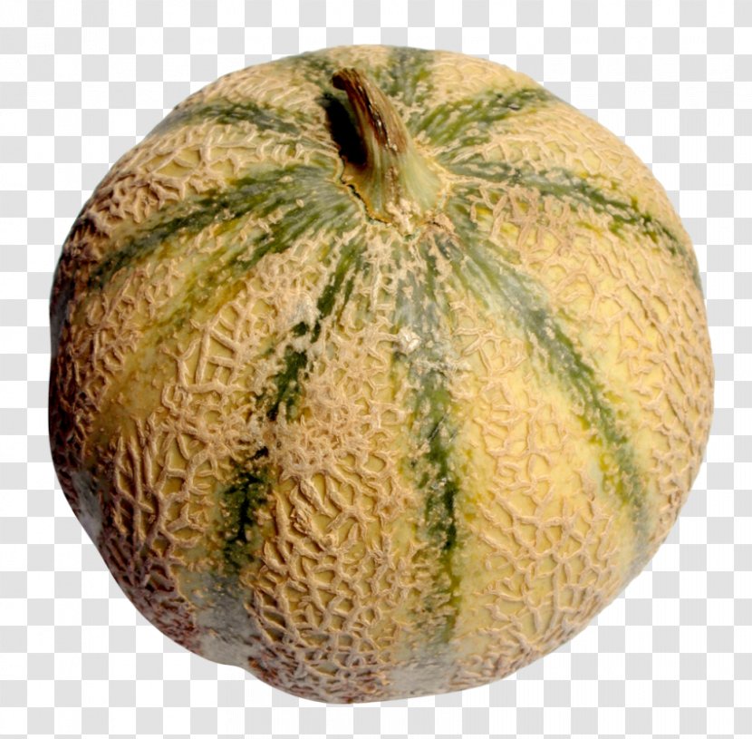 Cantaloupe Melon - Cucumis Transparent PNG