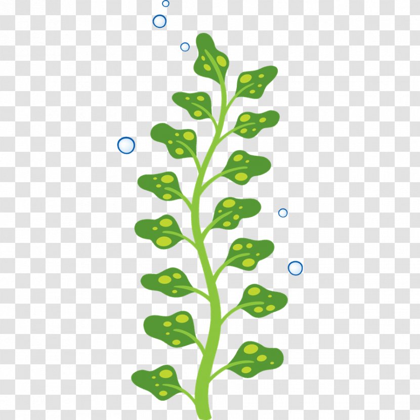 Algae Child Seaweed Sticker - Vinilo Transparent PNG