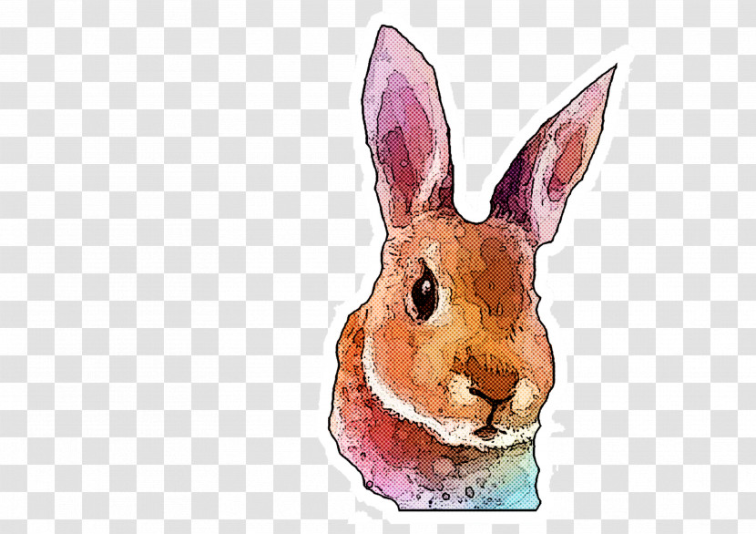 Rabbit Rabbits And Hares Hare Watercolor Paint Wood Rabbit Transparent PNG