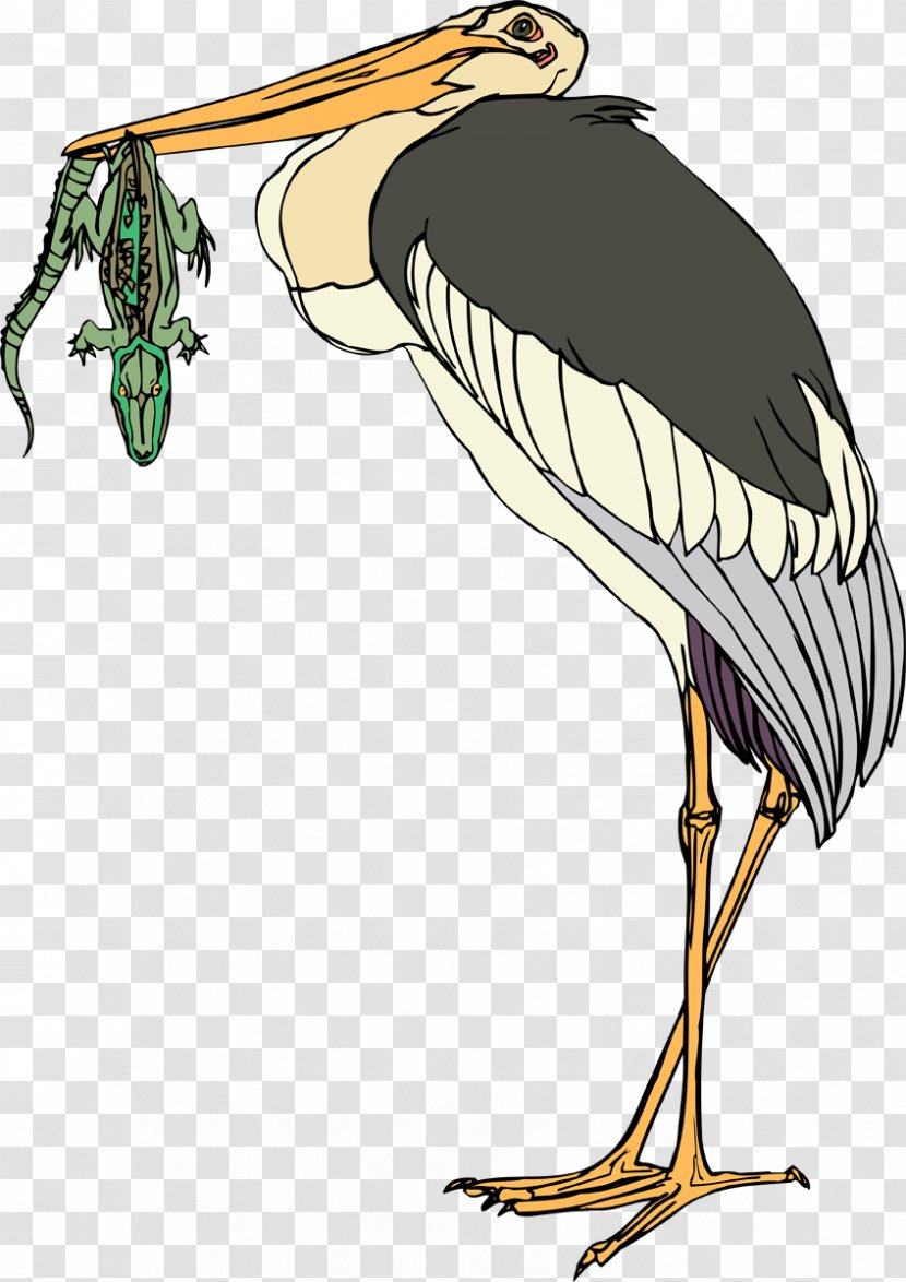 Stork Bird Clip Art Illustration Crane Transparent PNG
