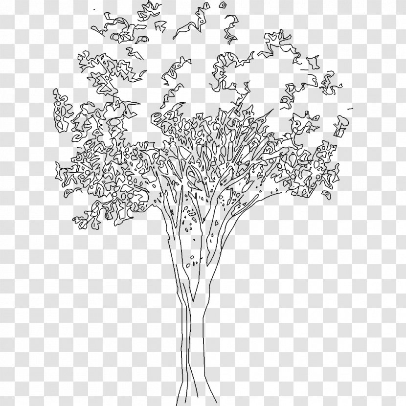 .dwg AutoCAD Tree Architecture Drawing - Garden Transparent PNG