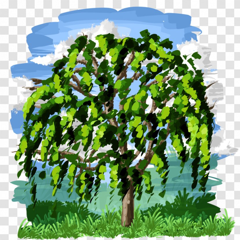 Tree Leaf Vegetable Transparent PNG