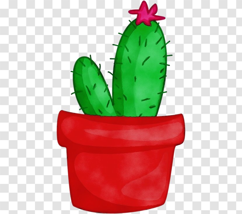 Cactus - Flowerpot - Prickly Pear Barbary Fig Transparent PNG