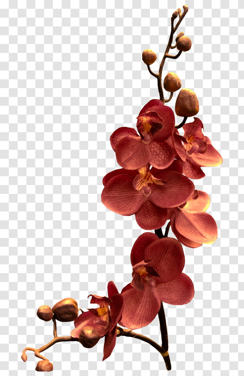 Orchids Watercolor Painting Flower - Mystique Transparent PNG