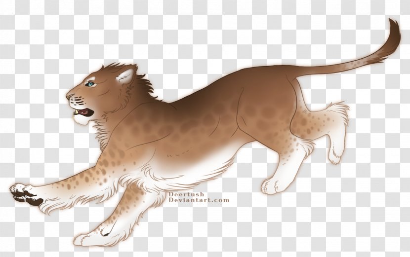 Lion Big Cat Art Terrestrial Animal Transparent PNG