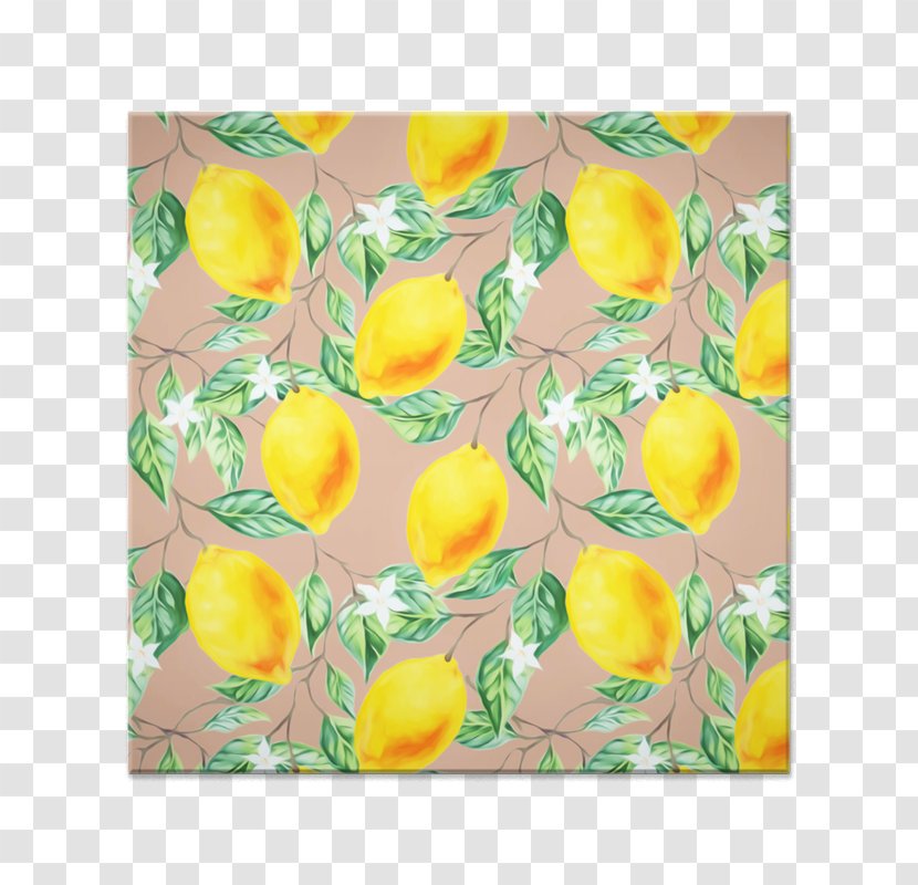 83 Oranges Freight Transport Petal Flower - Fiscal Year - Watercolor Fruits Transparent PNG