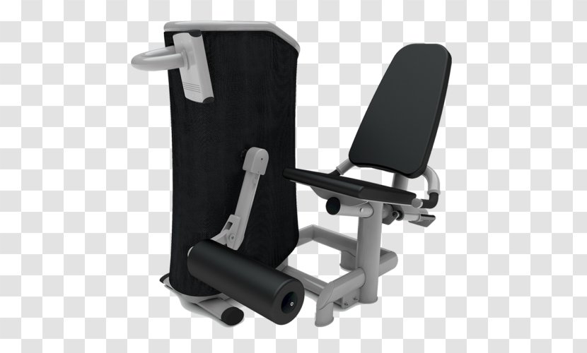 Fitness Centre Strength Training Hyperextension Physical - Circuit - Furniture Transparent PNG