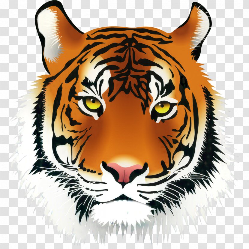 Clip Art Tiger Vector Graphics Drawing - Big Cats Transparent PNG