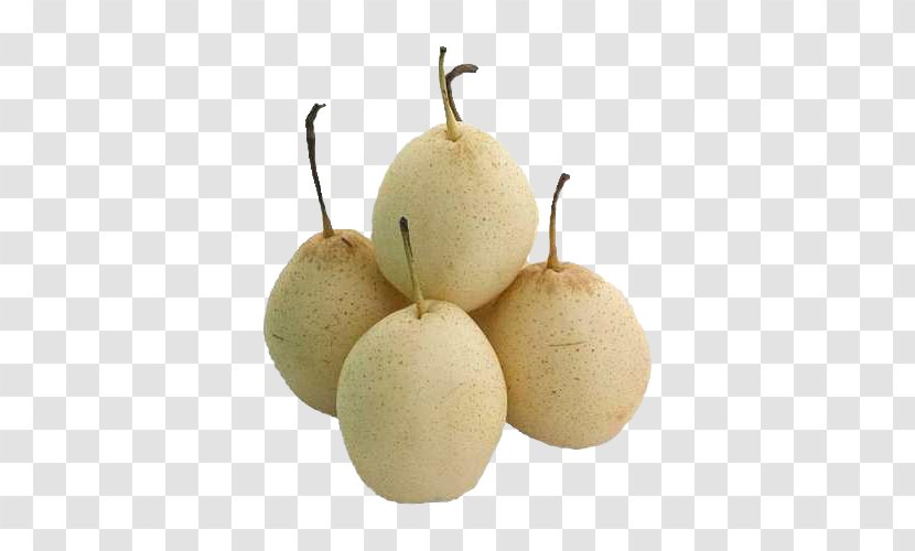 Fruit Williams Pear Pome Calorie Transparent PNG