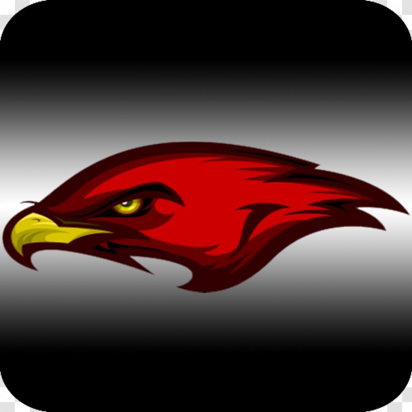 Beak Bird Of Prey Car - Red Transparent PNG