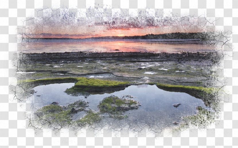 Desktop Wallpaper Landscape High-definition Television 4K Resolution - Floodplain - Beautiful Transparent PNG