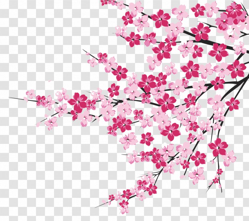 Cherry Blossom - Petal - Tree Branches Transparent PNG