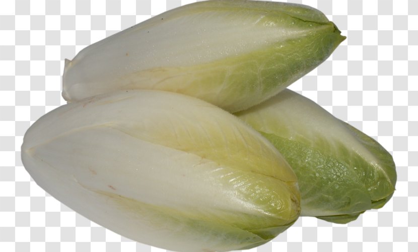 Chicory Cabbage Vegetable Greens Food - Recipe - Red Transparent PNG