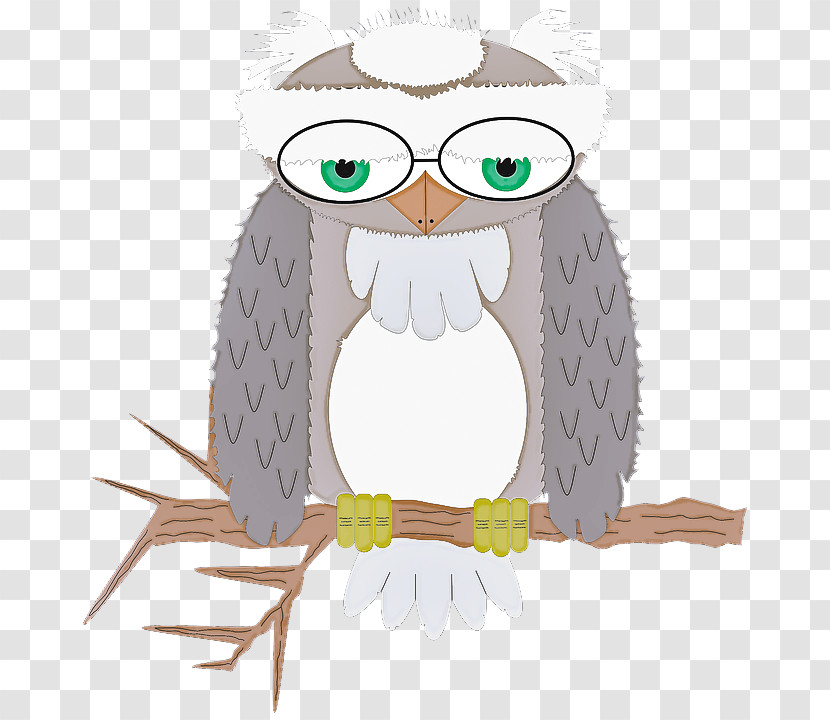 Owl Bird Bird Of Prey Cartoon Eastern Screech Owl Transparent PNG