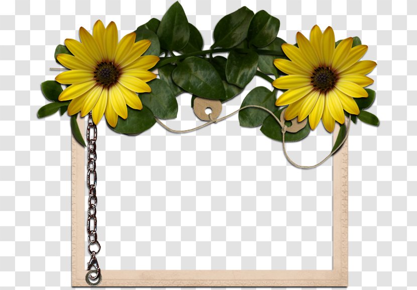 Image Centerblog Photograph - Floristry - Decorative Box Transparent PNG