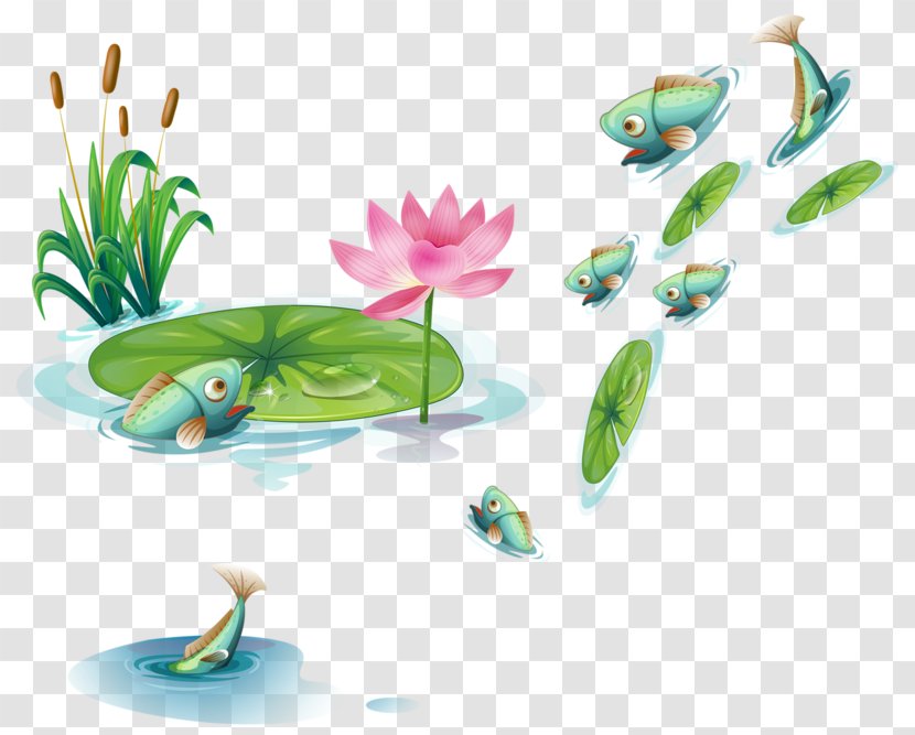 Drawing Royalty-free - Amphibian - Lotus Pond Transparent PNG