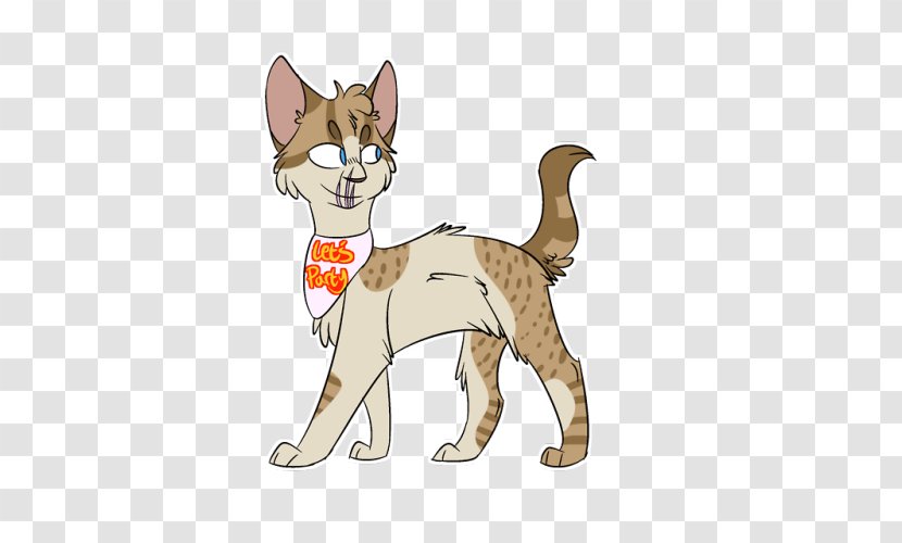 Sokoke American Wirehair Kitten Whiskers Tabby Cat - Animal Figure Transparent PNG