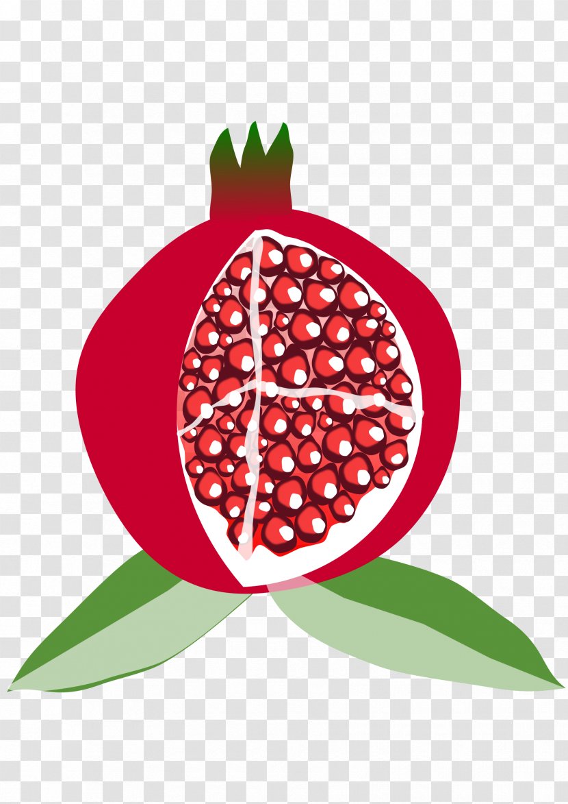 Pomegranate Fruit Mediterranean Basin Clip Art - Greeting Note Cards - Available In Different Size Transparent PNG