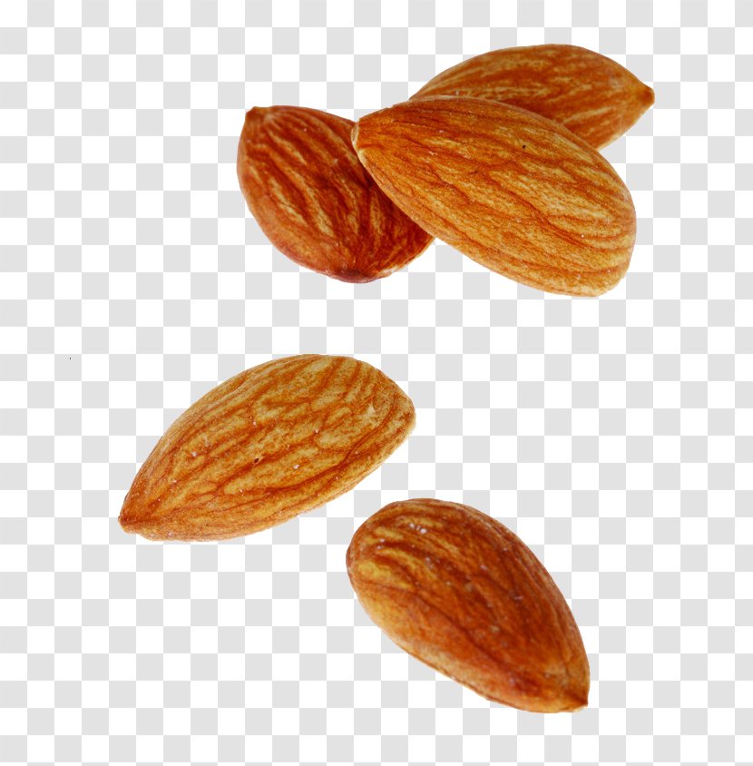 Nut Almond Apricot Kernel Oil - Floating Almonds Transparent PNG
