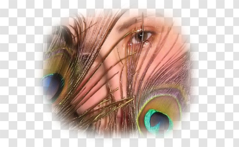 .net Face Eyebrow Forehead Eyelash - Flower Transparent PNG