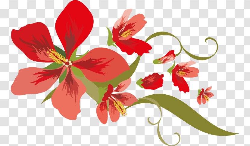 Floral Design Flower Clip Art - Birthday Transparent PNG