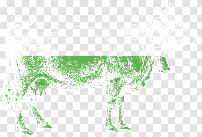Canidae Grasses Dog Green Meadow - Organism Transparent PNG