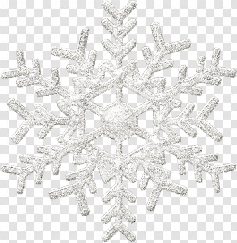 Snowflake Winter Light - Appannamento - Snow Flakes Transparent PNG