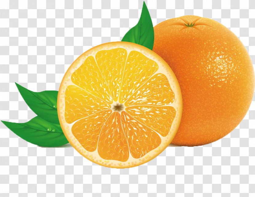 Orange Juice Tangerine - Citric Acid - Fresh Lemon Transparent PNG