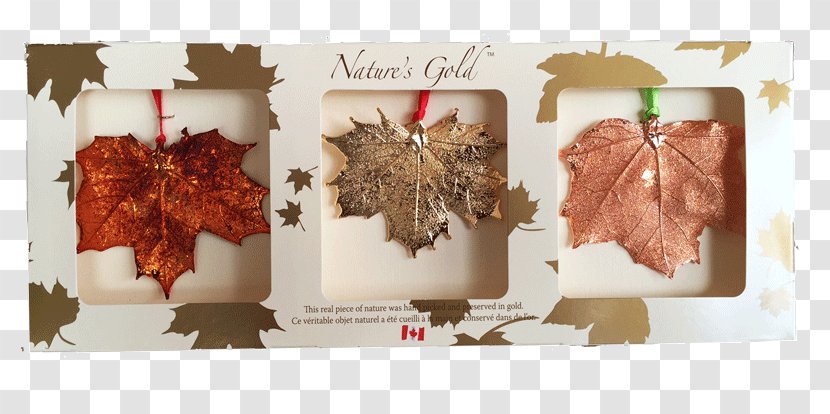 Wood /m/083vt - Brand - Maple Leaf Ornament Transparent PNG