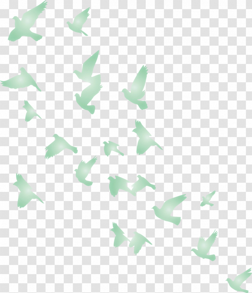 Flying Birds Background Transparent PNG