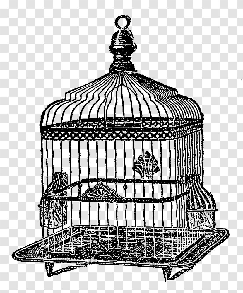 Black And White Drawing Monochrome Photography Line Art - Storage Basket - Birdcage Transparent PNG