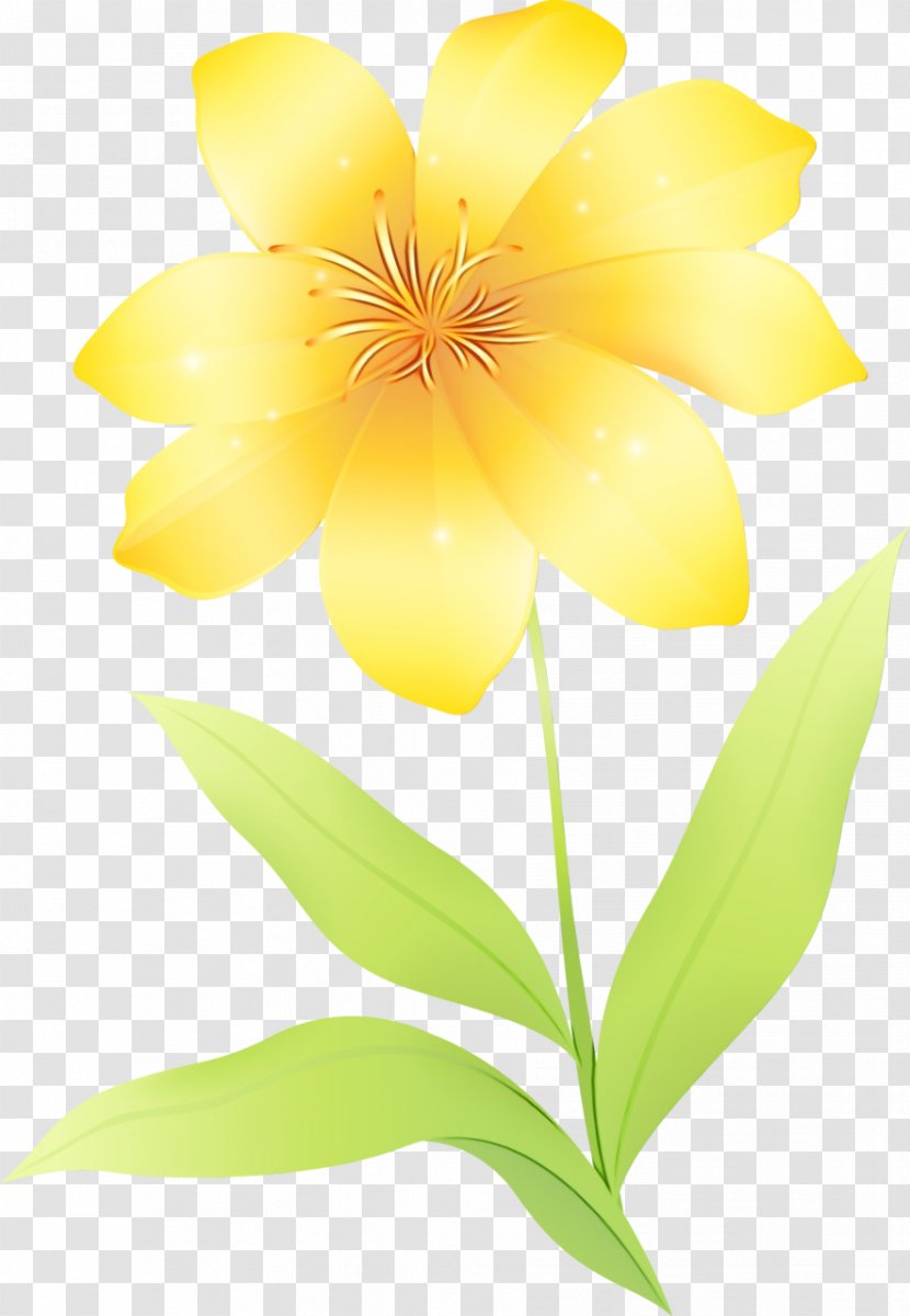 Petal Wildflower Yellow Flowering Plant Plants - Herbaceous Transparent PNG
