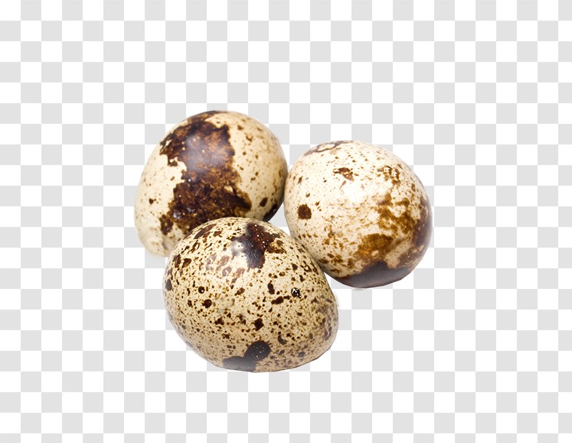 Quail Eggs Chicken Common - Boiled Egg Transparent PNG