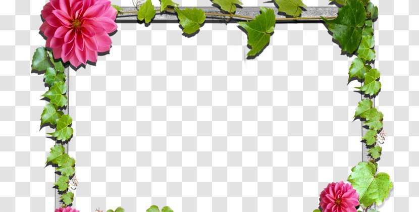 Picture Frames Flower Floral Design Rose - Leaf - Yq Transparent PNG