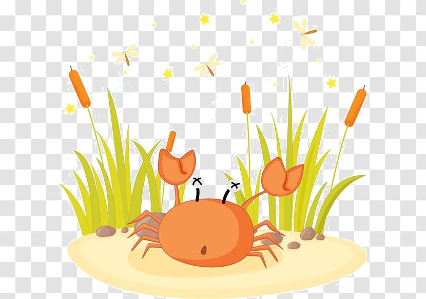 Vector Graphics Stock Photography Illustration Royalty-free Drawing - Vertebrate - Crab Free Transparent PNG