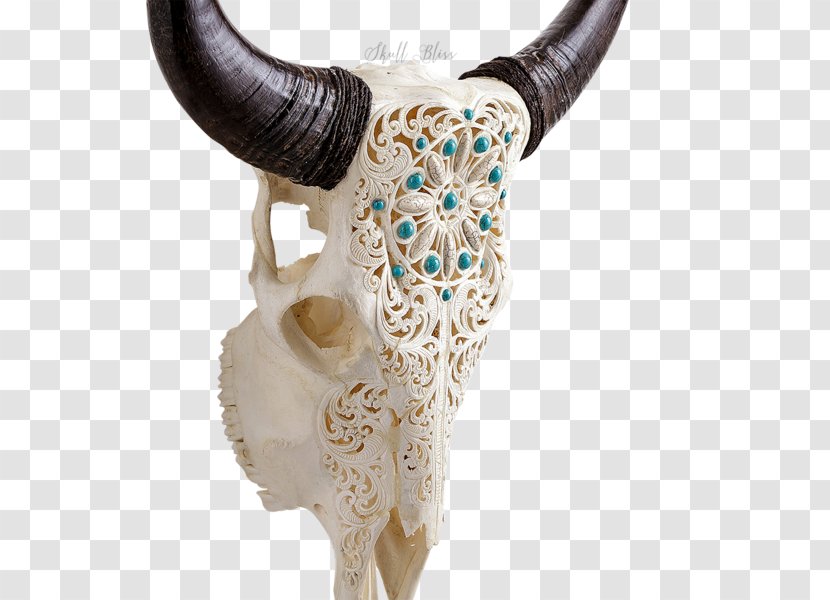 Horn Animal Skulls Cattle Bull - Skull Transparent PNG