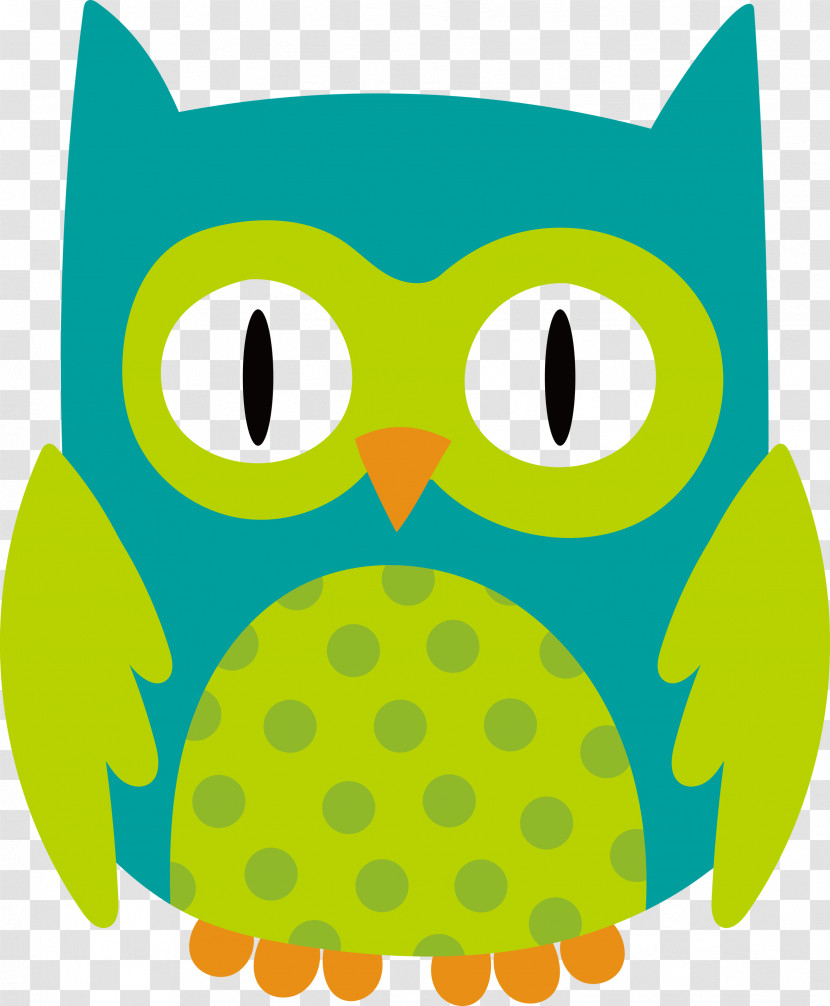 Cat Snout Owl M Birds Beak Transparent PNG