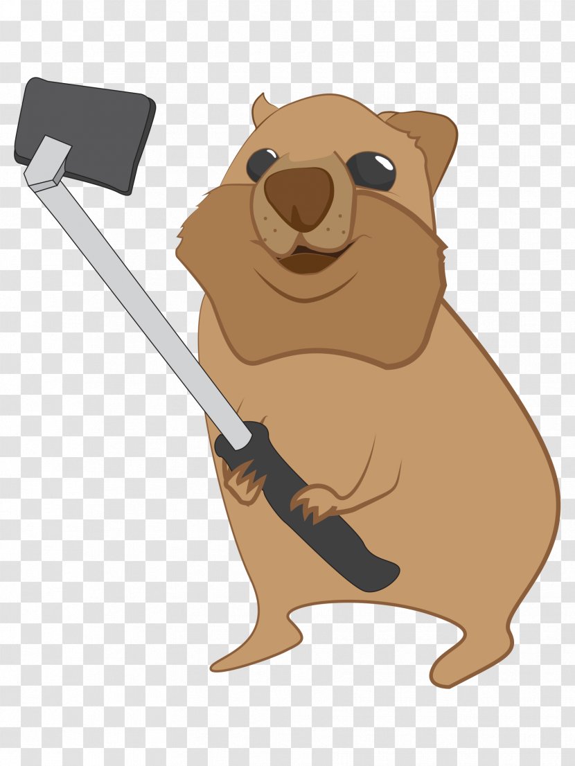 Dog Beaver Marsupial Cartoon - Canidae Transparent PNG
