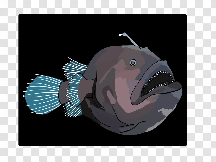 Anglerfish Deep Sea Fish Mouth Snout Transparent PNG