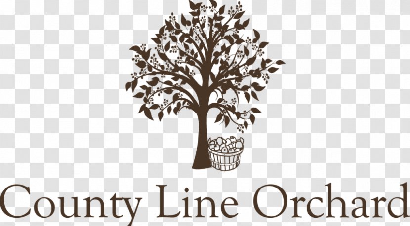 County Line Orchard - Tree - Opening Day 8/29/18 Apple Logo WeddingOthers Transparent PNG