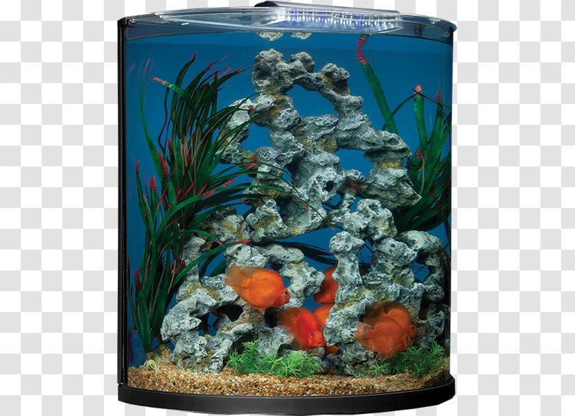 Aquariums Marineland Aquatic Plants Gallon - Aquarium Lighting - Fish Tank Transparent PNG