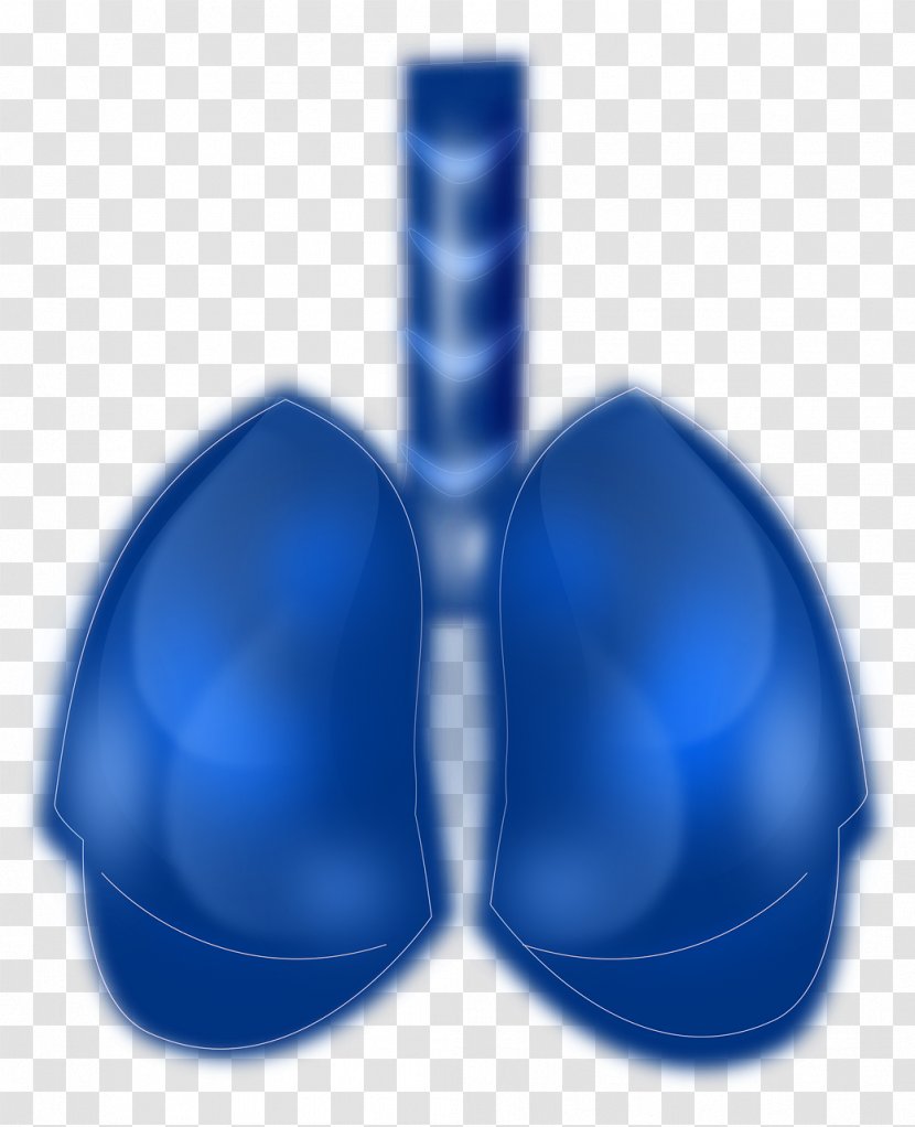 Lung Cancer Respiratory System Human Blue - Medical Sign - Chronic Obstructive Pulmonary Disease Transparent PNG