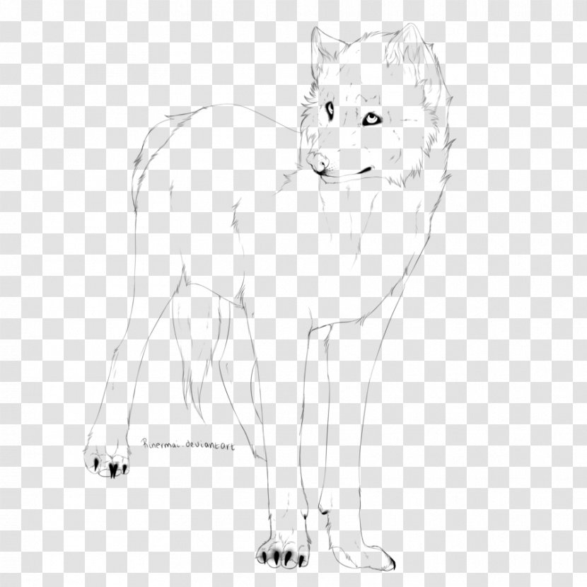 Whiskers Cat Line Art Paw Sketch - Cartoon - Based Drawing Transparent PNG