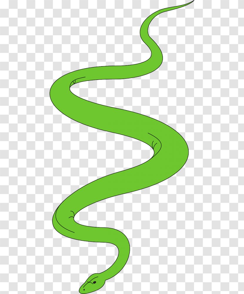 Green Background - Reptile - Symbol Transparent PNG