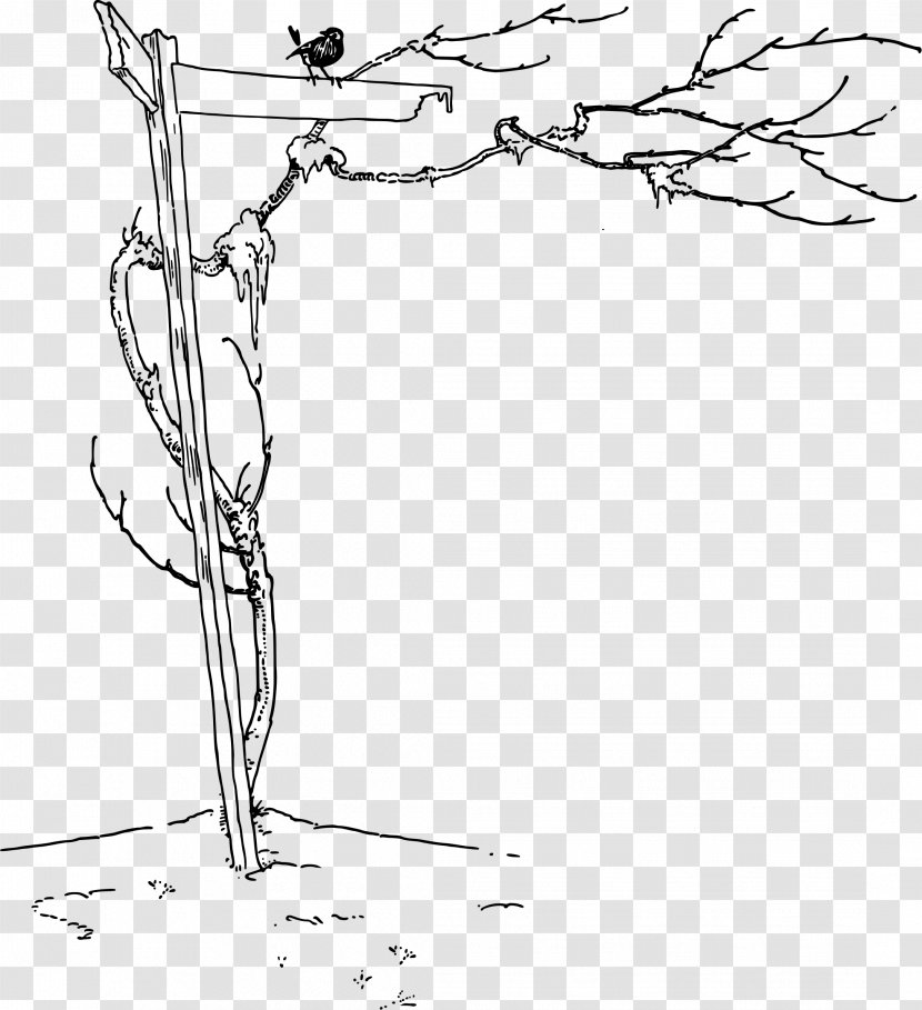 Drawing Line Art Clip - Flower - Dead Tree Transparent PNG