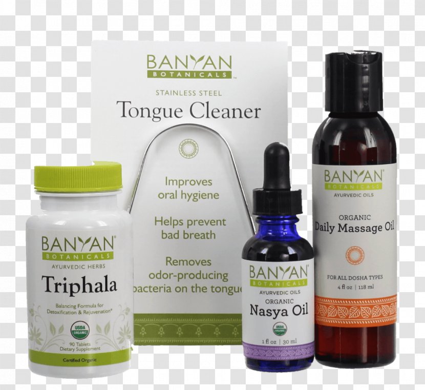 Suzanne Morgan Yoga Ayurveda Health Banyan Botanicals Herbs - Daily Routine Transparent PNG