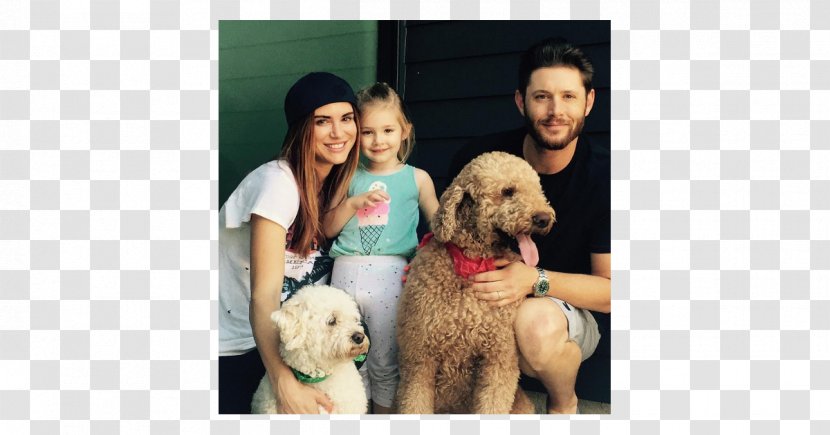 Dean Winchester Actor People's Choice Awards Family Jensen Ackles - Puppy Transparent PNG