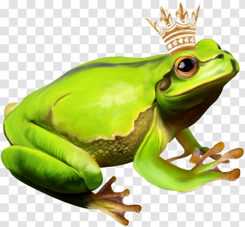 The Frog Prince - Organism Transparent PNG